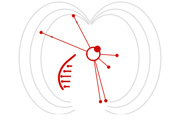 MAGNETS